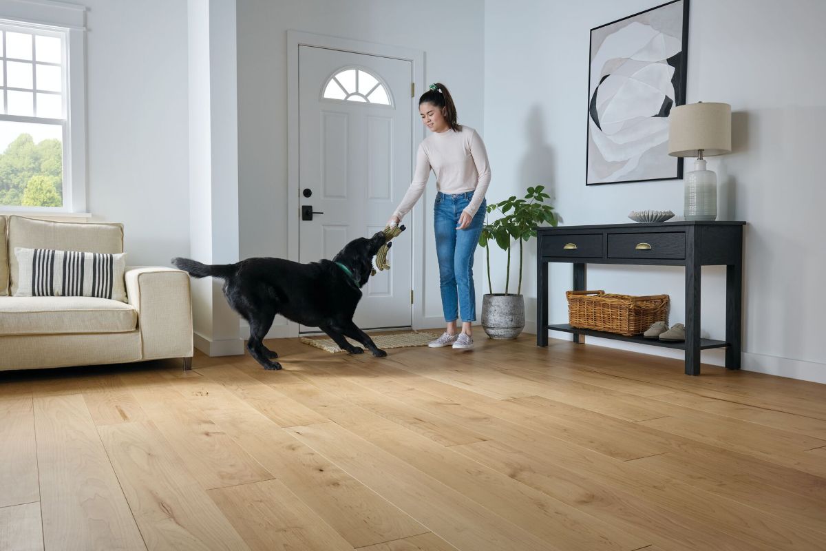 Teenage girl inside the front door playing with her dog; white maple engineered hardwood flooring