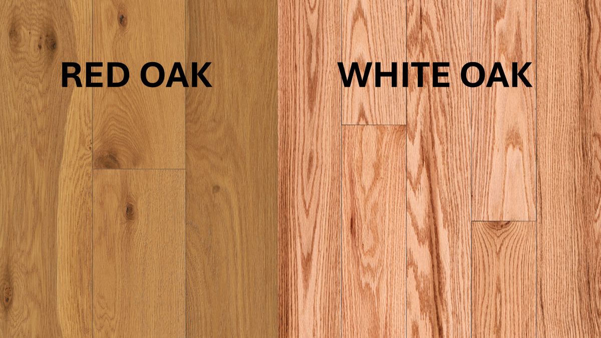 Closeup of red oak and white oak to show the differences between the two