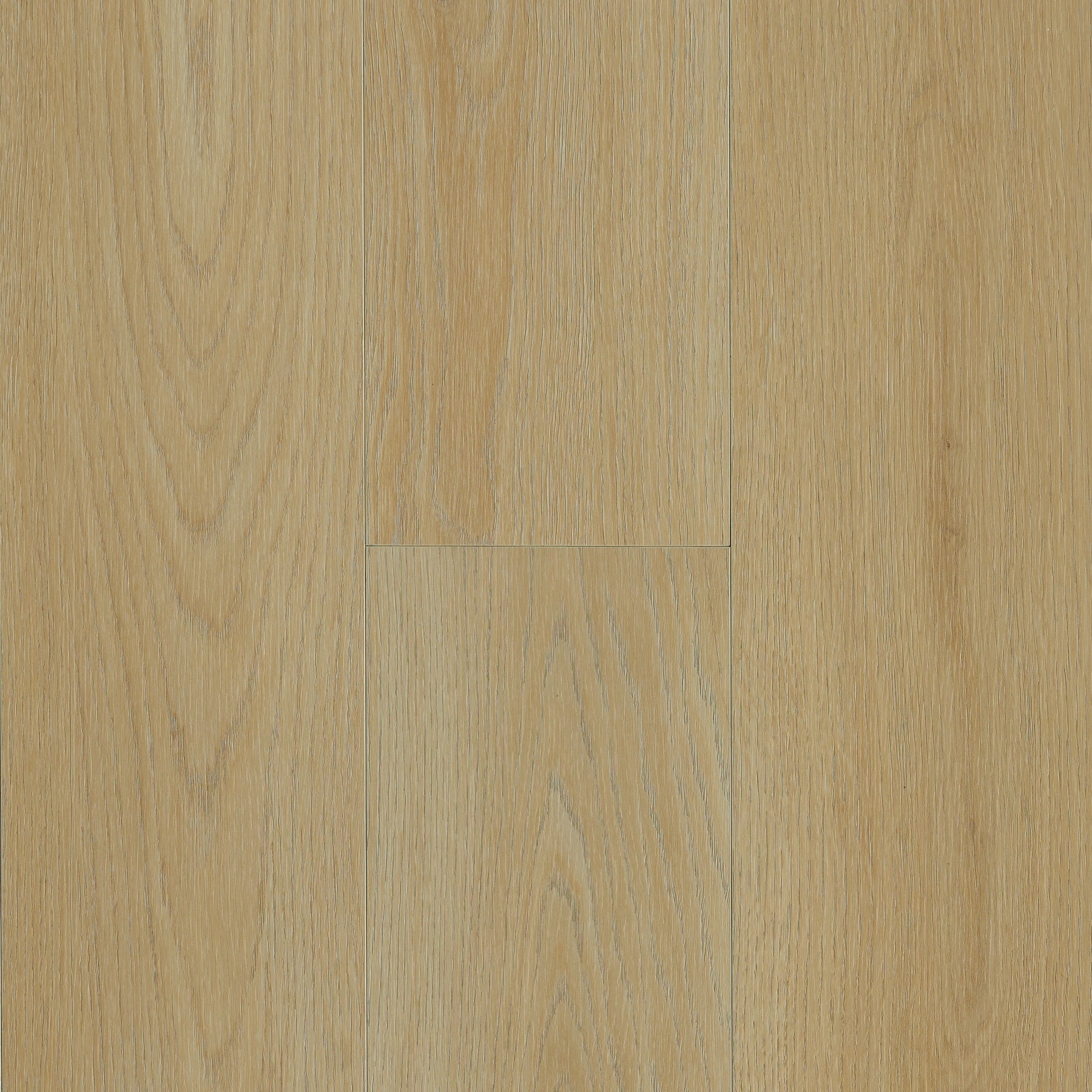 Ingenious Plank Young Sapling Hybrid Resilient 5PR7502