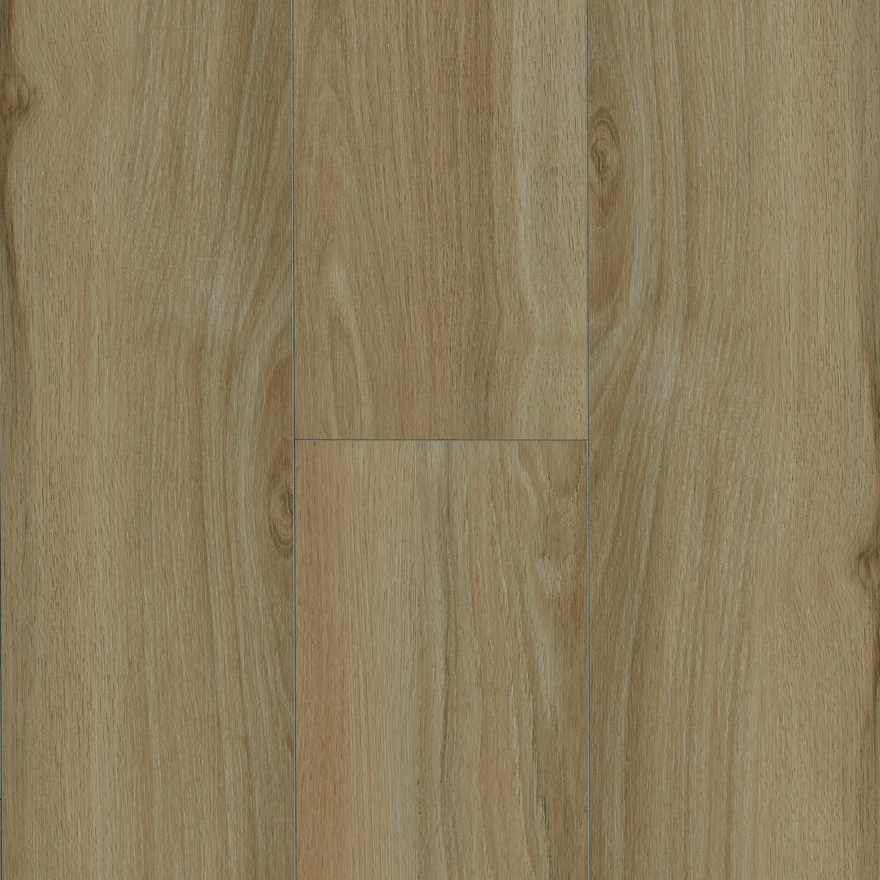 Ingenious Plank Stag Run Hybrid Resilient 5PR7503