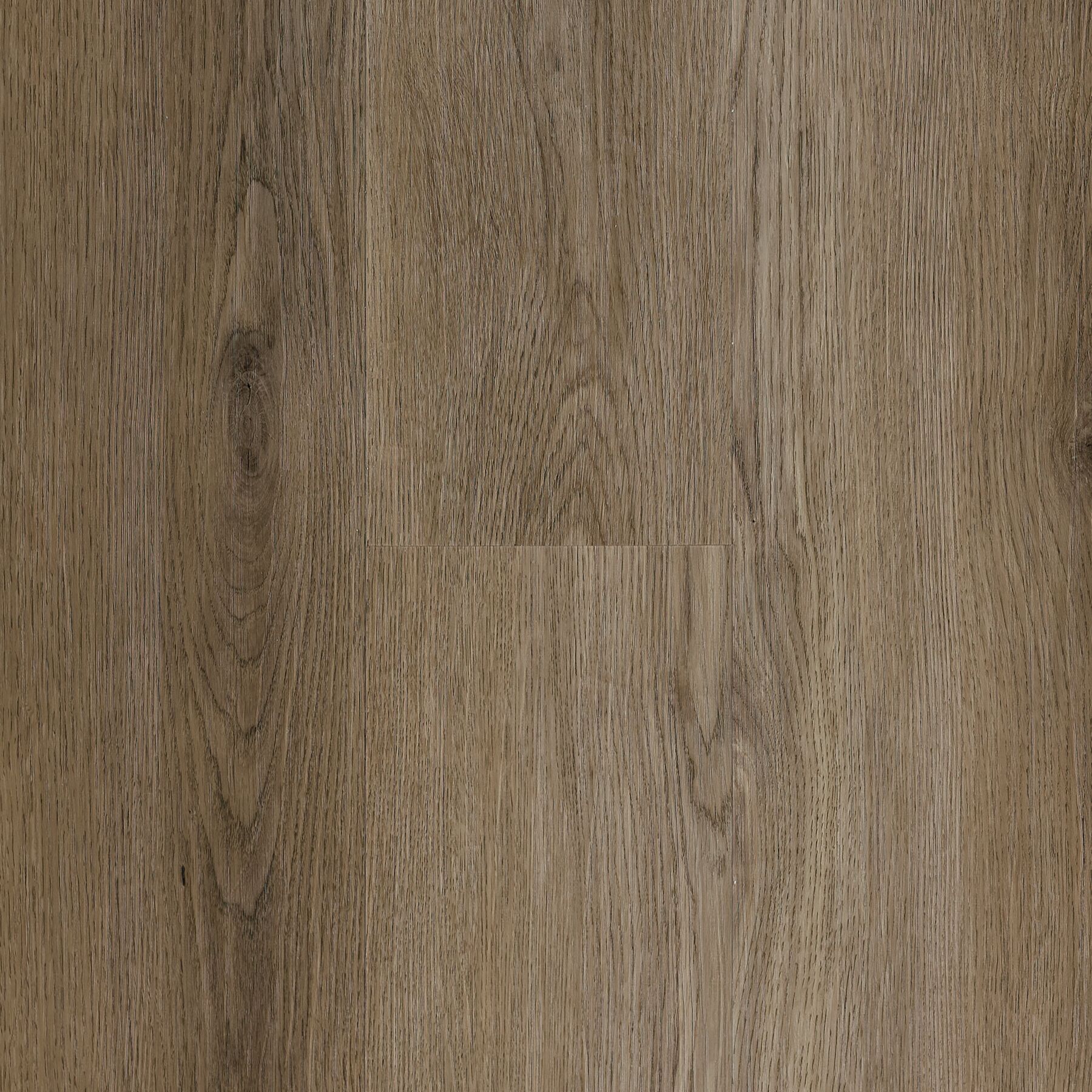 Daybreak Select Veiled Sun Luxury Vinyl Plank 5RH7503
