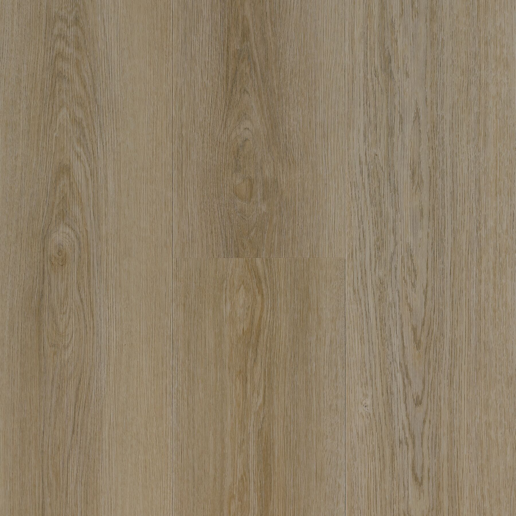 Daybreak Preferred Morning Hush Luxury Vinyl Plank 5RH9501