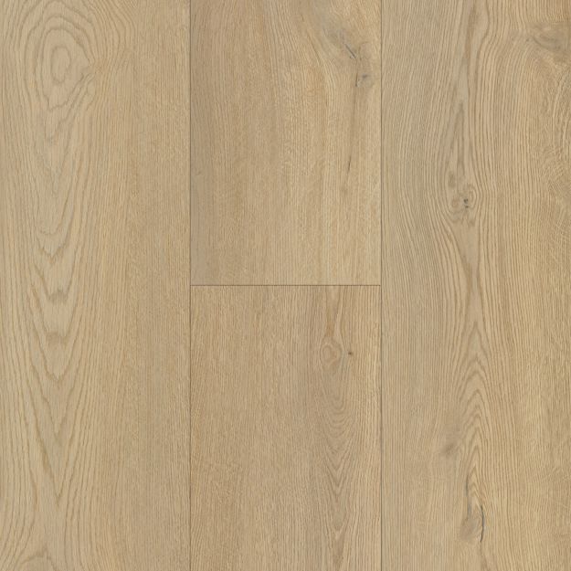 Horizon's Embrace Saddle River Rigid Core 5RW9504