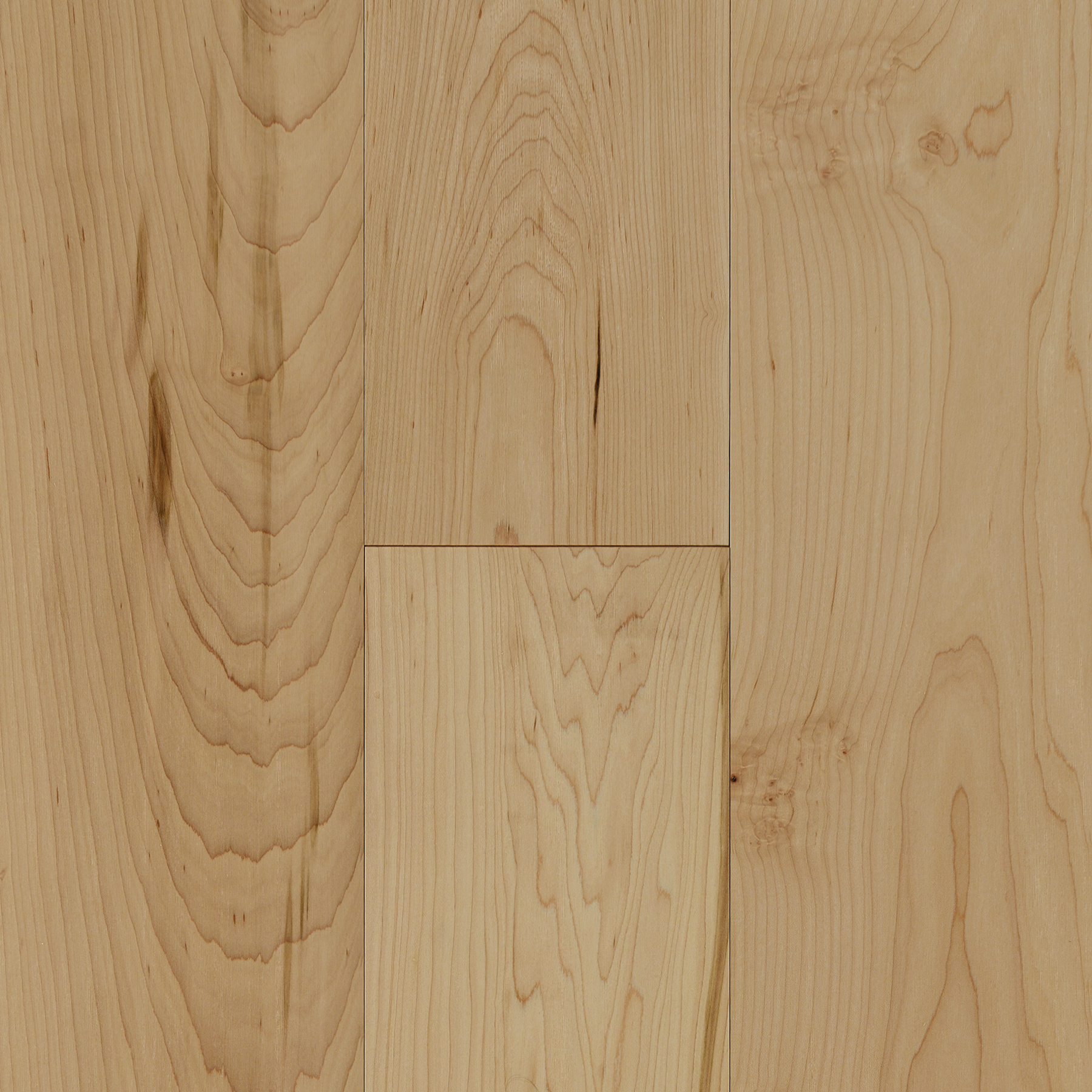 White Maple swatch
