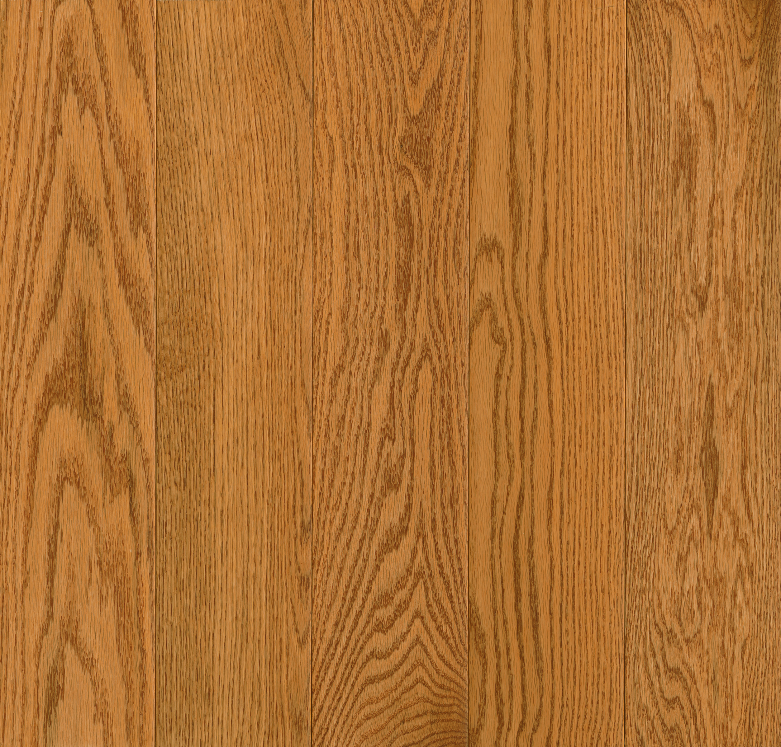 Natural Forest 3-1/4" Red Oak