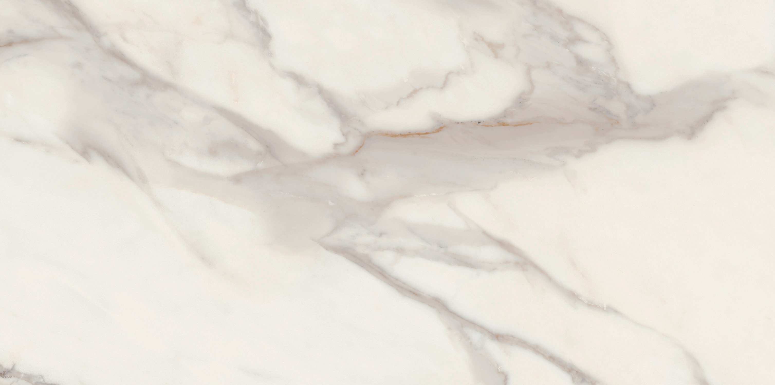 Rite of Passage Mattina D'Oro Porcelain SA24462