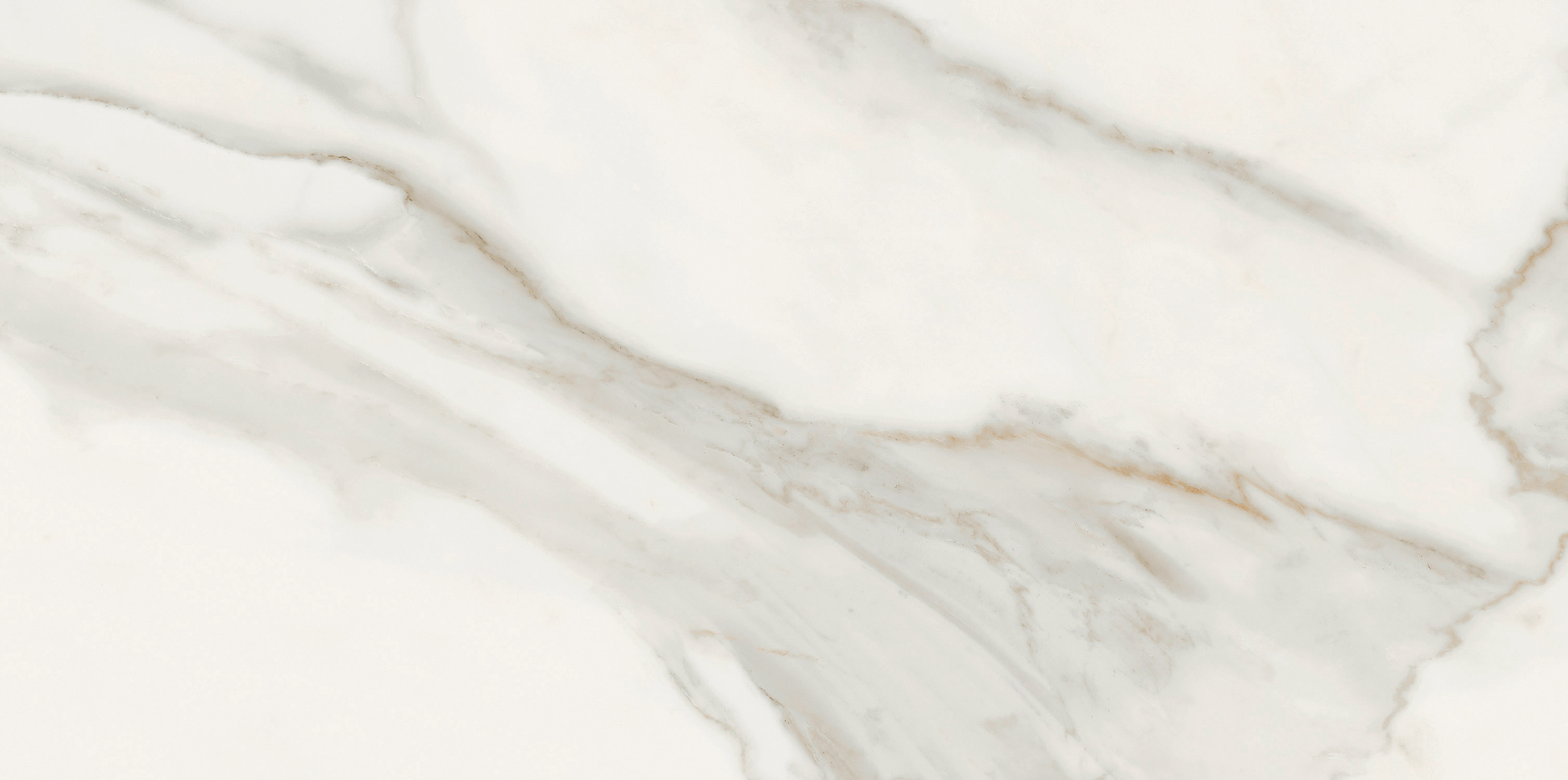 Rite of Passage Mattina D'Oro Porcelain SA24463