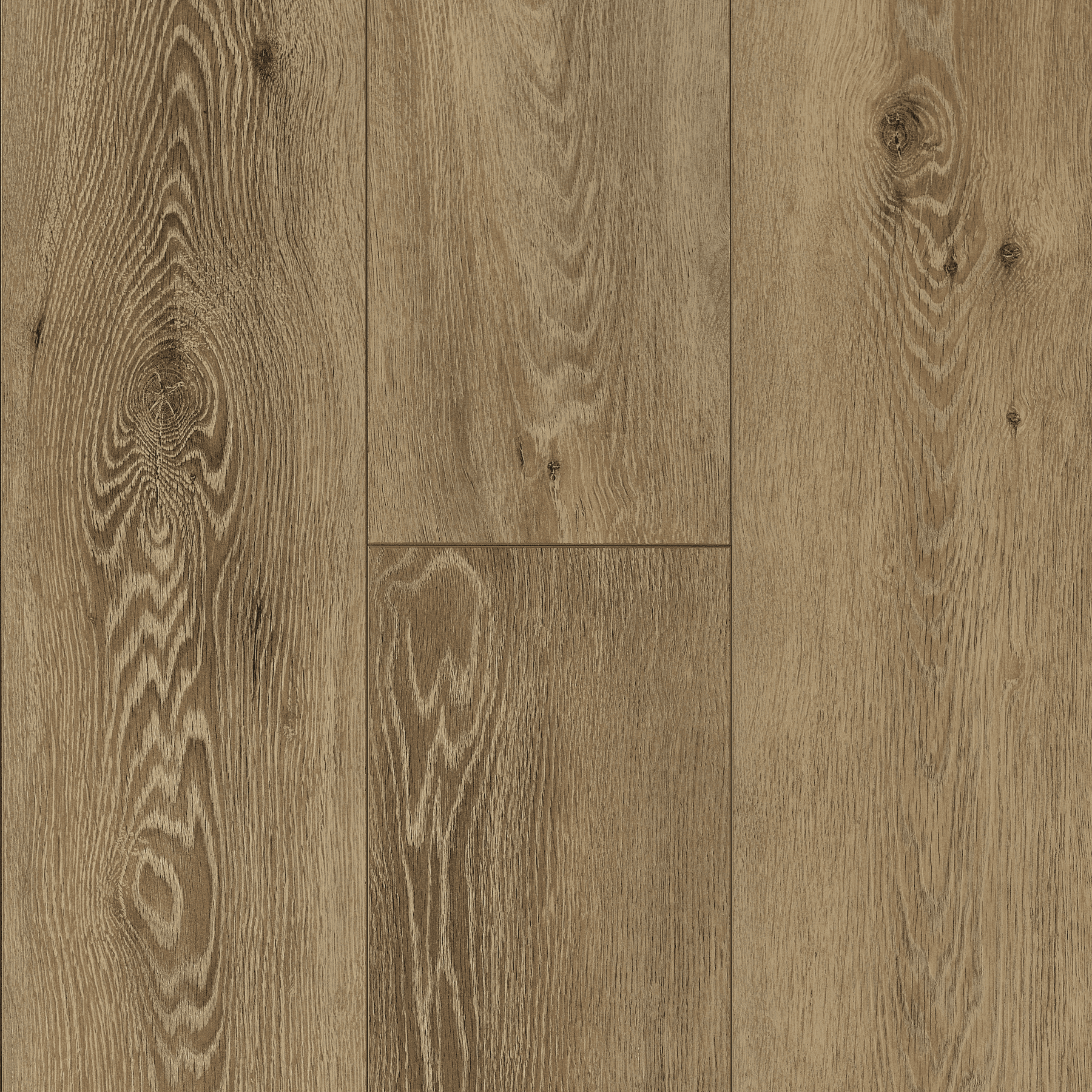 Earthy Elegance swatch