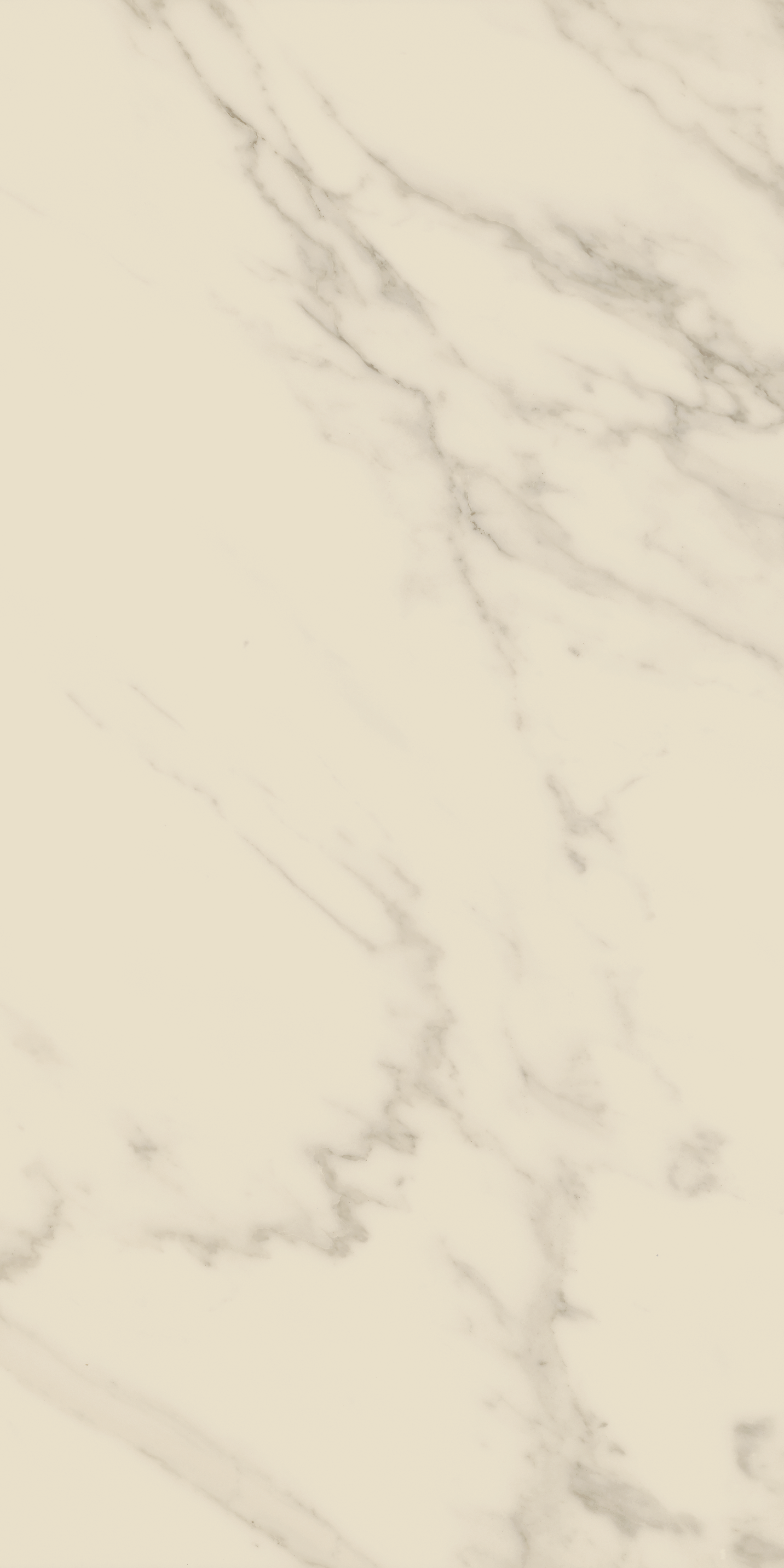 Entrée Classic Marble Porcelain WB12408