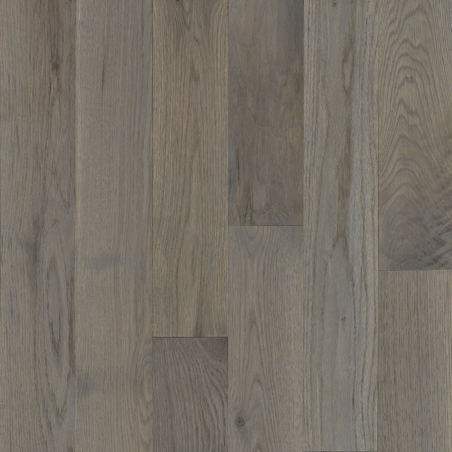 Natural Forest Winter Neutral Solid Hardwood NFSK452S